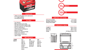 9928 - BATTERIE LLITHIUM BSLI -02-MAX 2.png