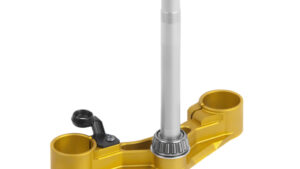 5381-5382T-FOURCHE-SUP-OR-TS-39-F