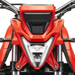Alp4_detail03