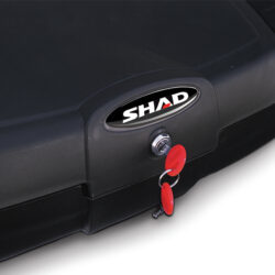 shad6815