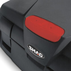 shad6818