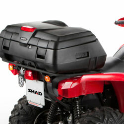 shad6821-510x382